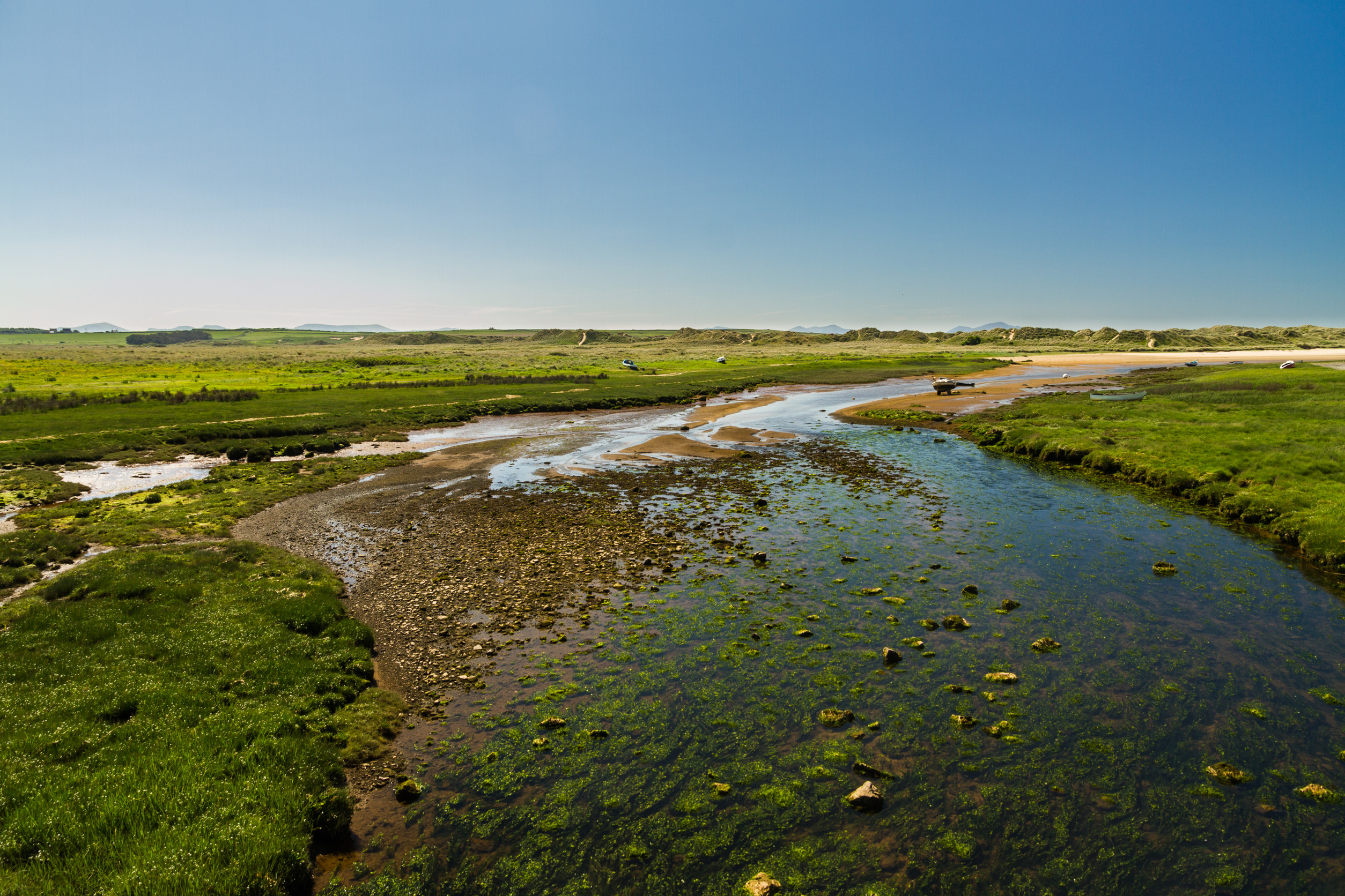 Hydrological Studies